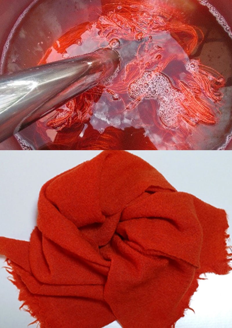 講習会イメージ