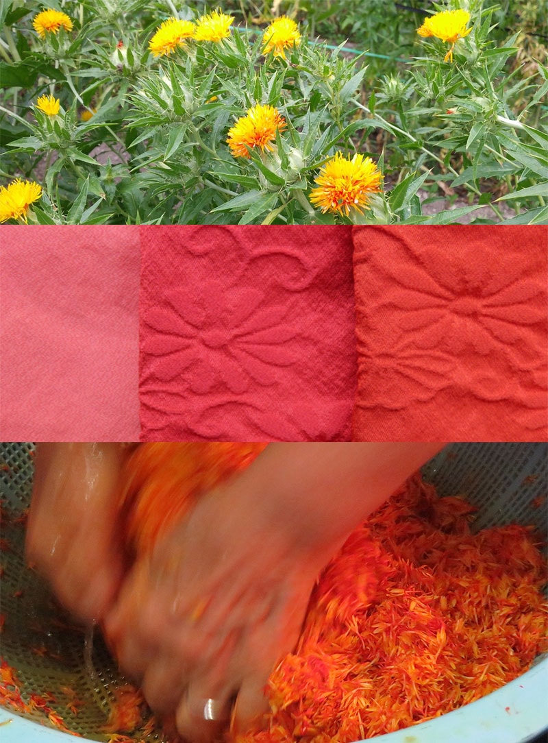 講習会イメージ