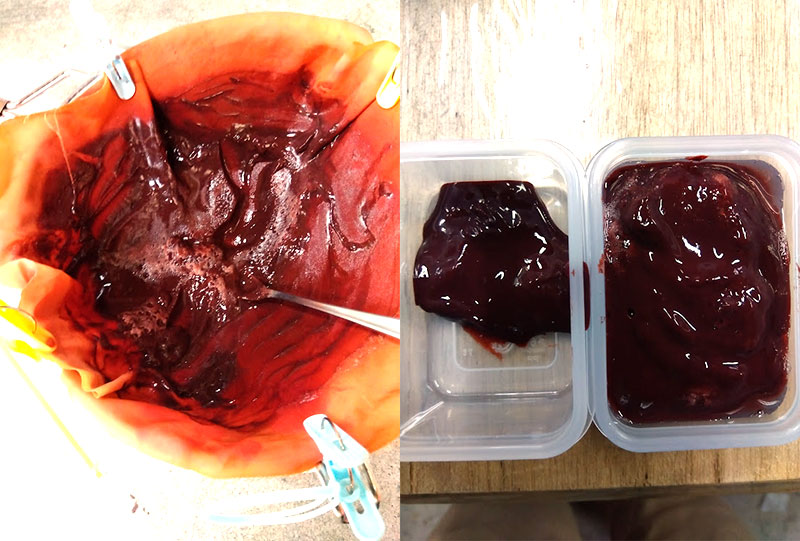 講習会イメージ