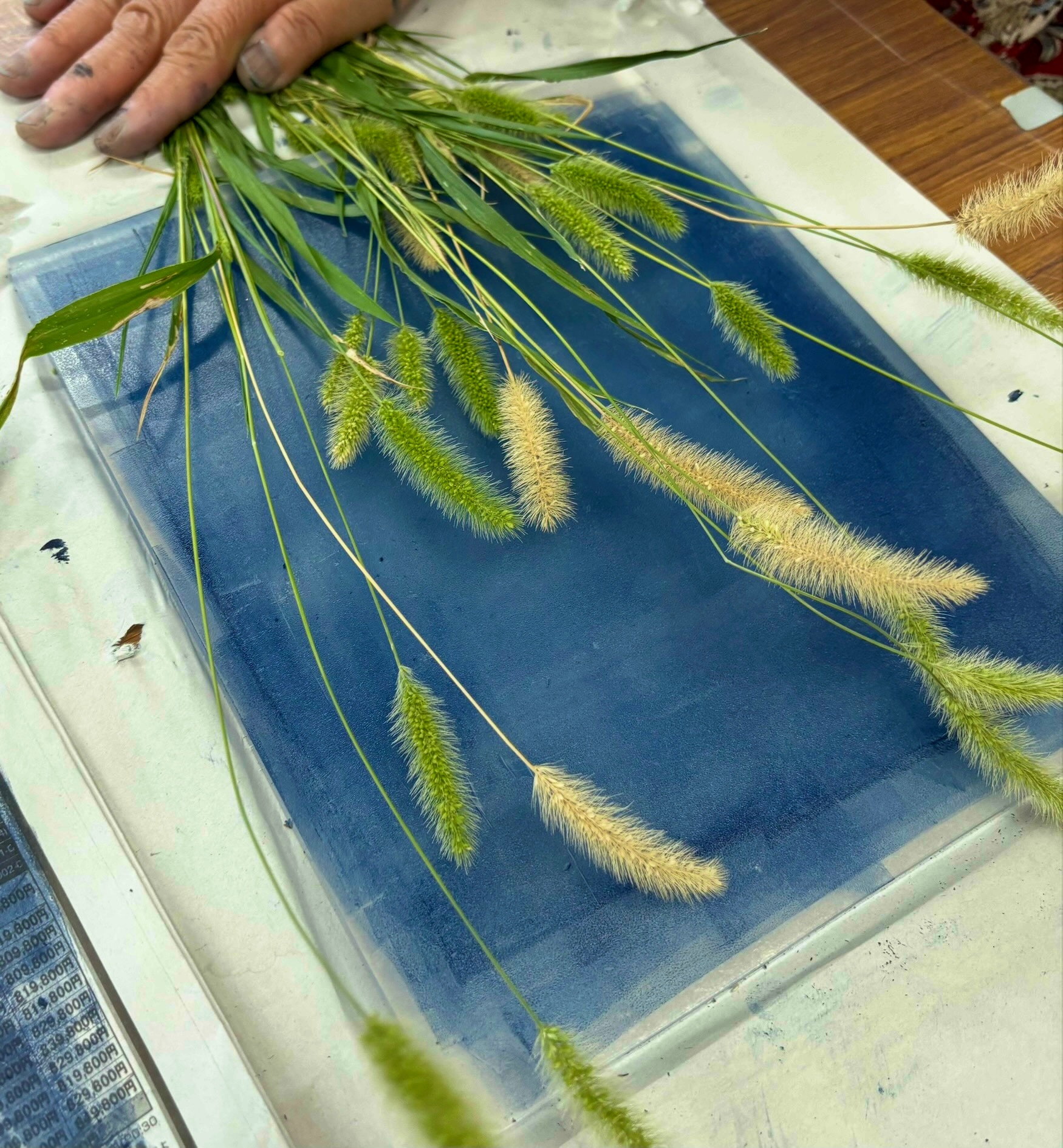 講習会イメージ