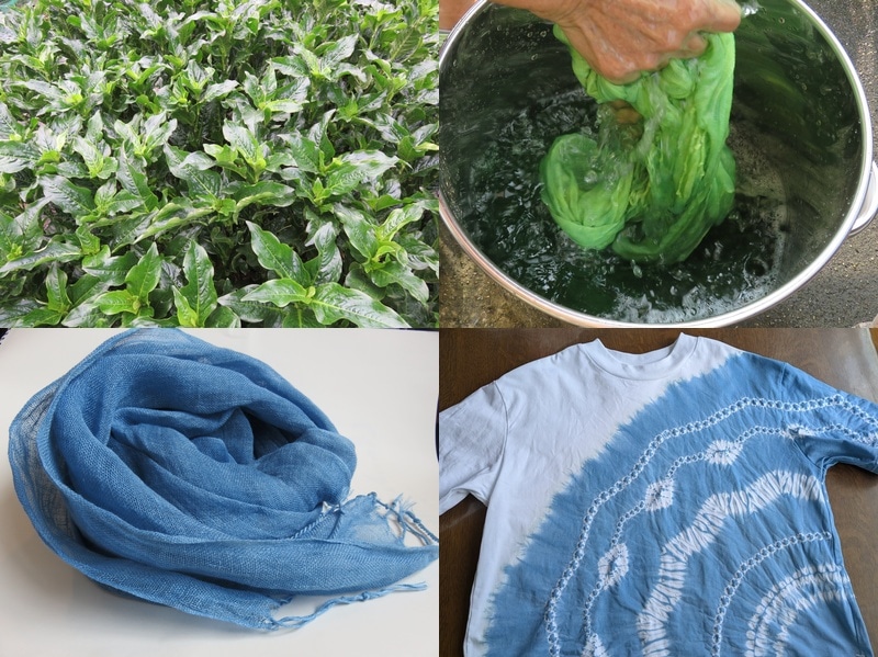 講習会イメージ