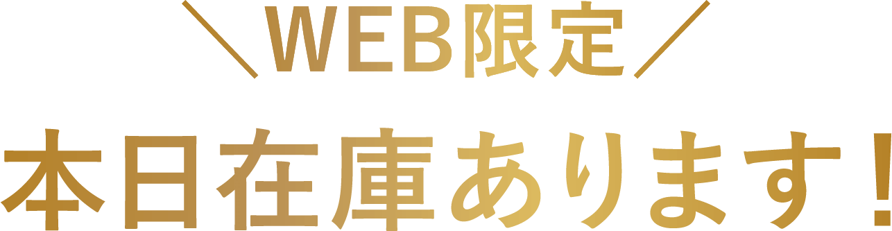 WEB限定 本日在庫あります！