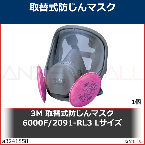 買収 スリーエムジャパン 3M 取替え式 防じんマスク 6000 2091-RL3 ラージ 1コ入