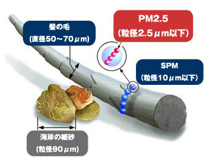 PM礭ʿȱ䳤ߺٺˤȤӡʳǰޡ(ŵUSEPA)