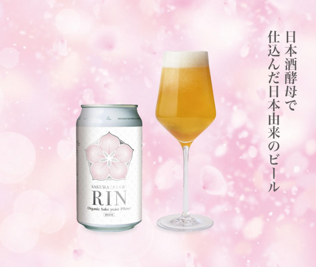 SAKURA �Τ������ۡ�Organic  Sake  yeast  Pilsner