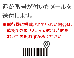 追跡番号が付いたメールを送付します。