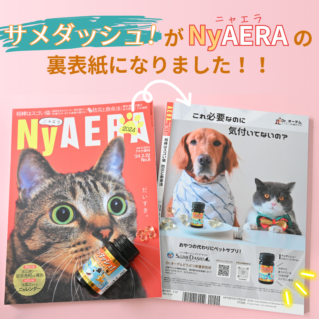 NyAERA ニャエラ