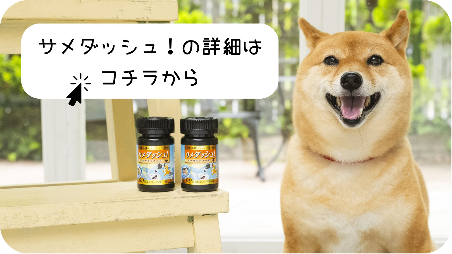 サメダッシュ画像