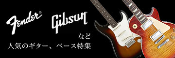 FENDERGIBSONʤɿ͵Υ١ý