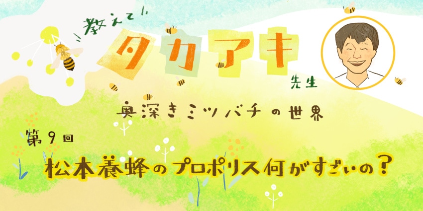 ƥߥĥХ裹־˪Υץݥꥹ Ρ