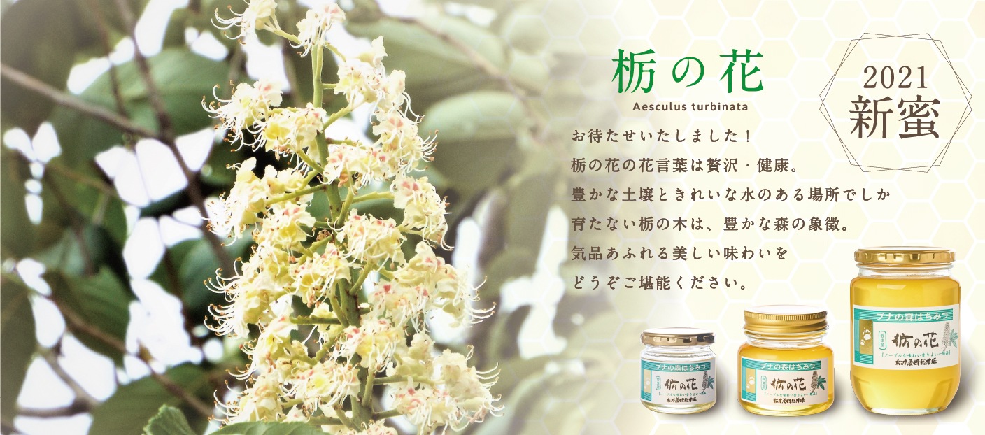 21年新蜜 栃の花 発売開始しました