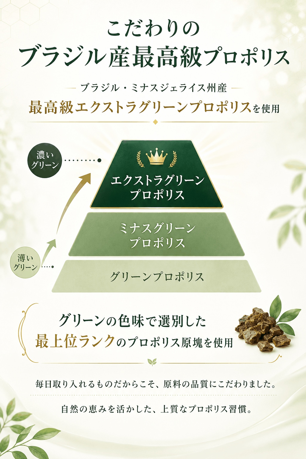 銀座プロポリス