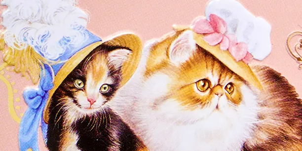 猫の日コレクション2026