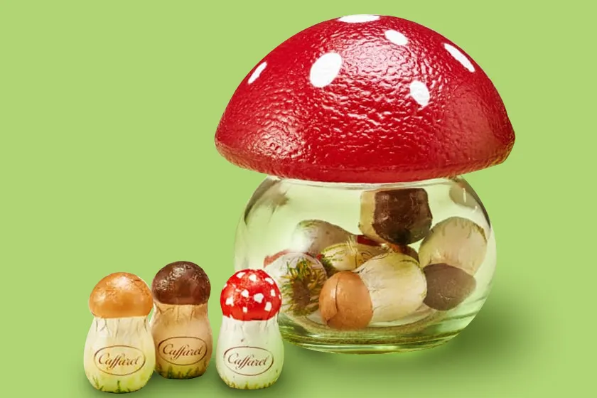 クアラントット　チョコラティーノ Cioccolatino （ チョコラティーノ ） . 【 チョコラティーノ