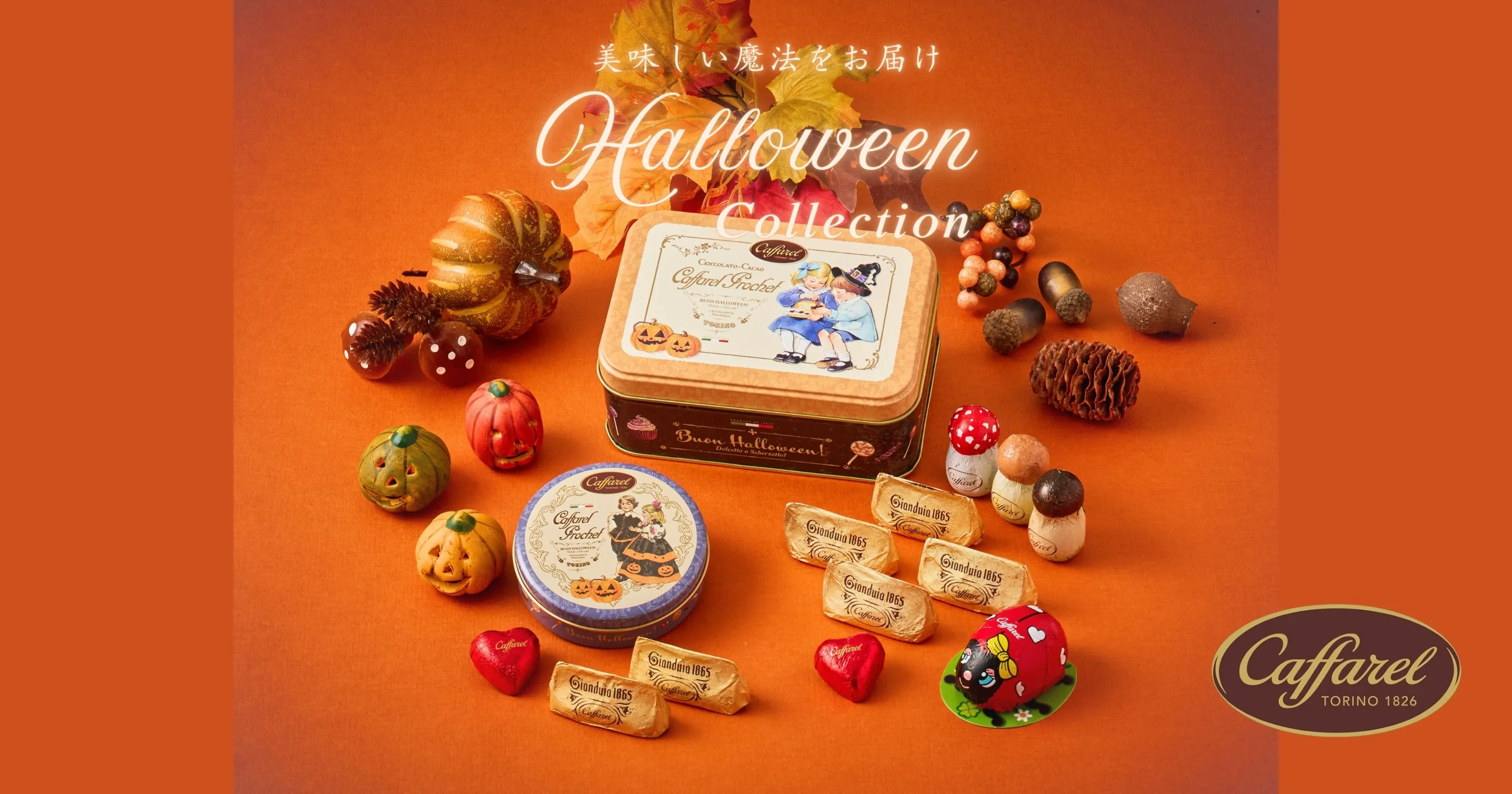 2026ハロウィンコレクション