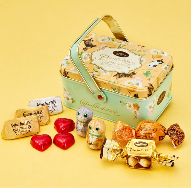 ねこの日チョコレートギフト