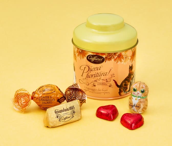 ねこの日チョコレートギフト