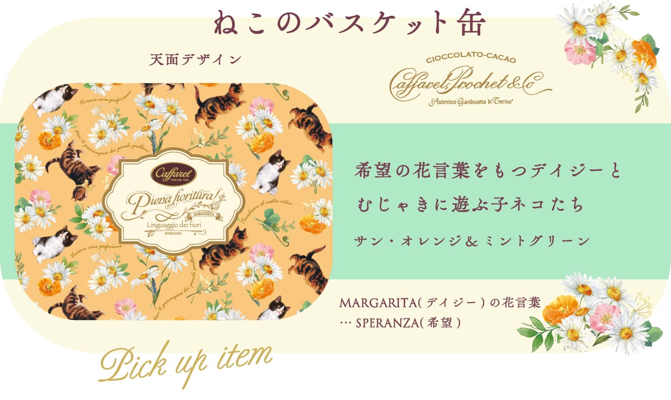 ͤ2023祳졼ȥ饤ʥå