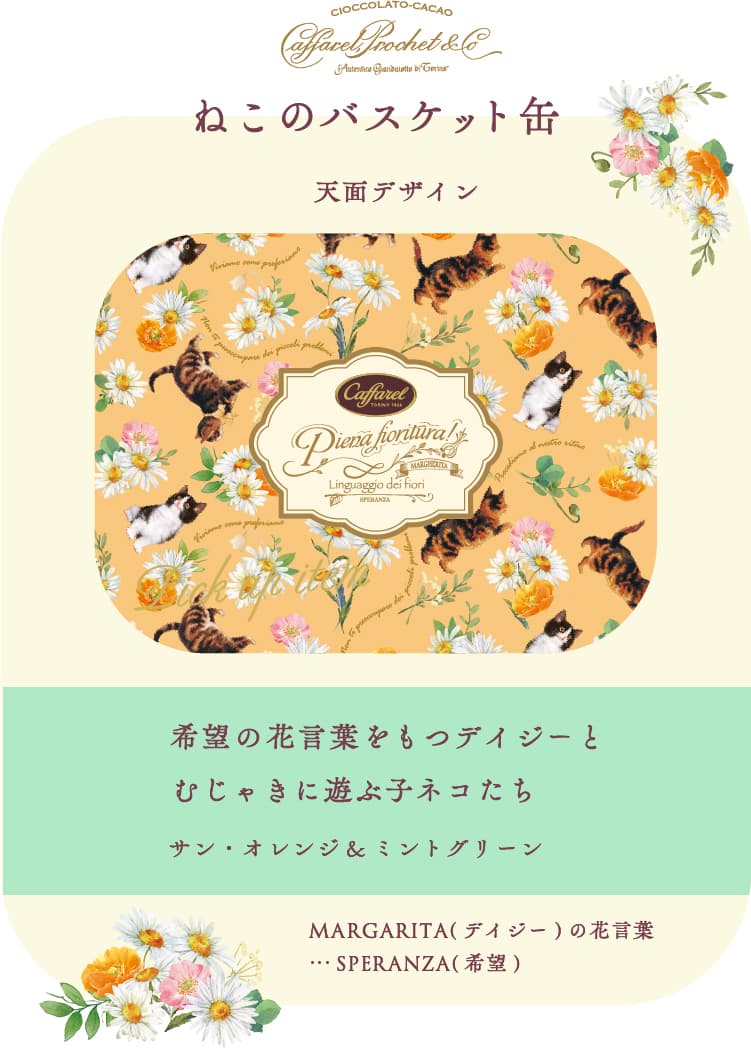 ͤ2023祳졼ȥ饤ʥå