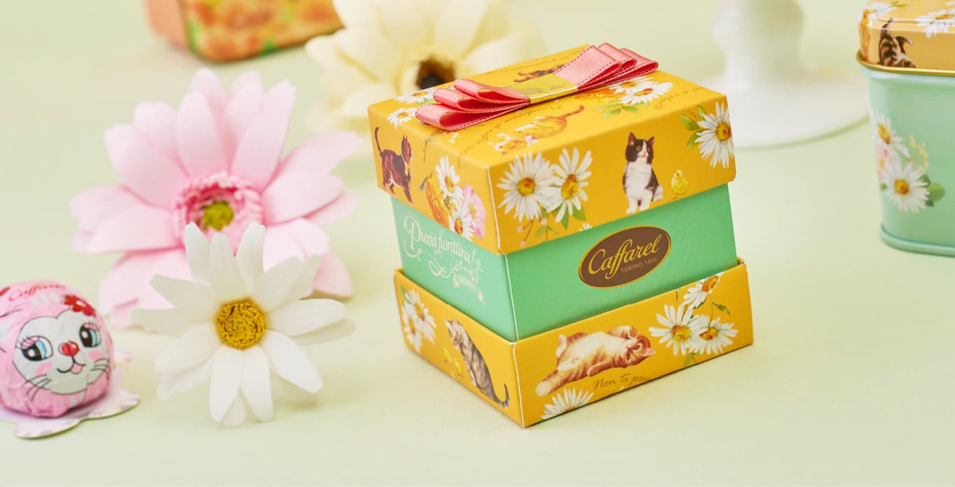 ͤ2023祳졼ȥ饤ʥå