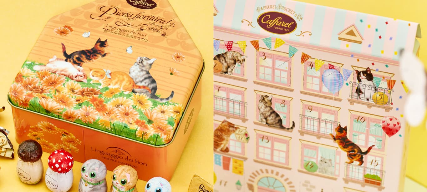 ͤ2023祳졼ȥ饤ʥå