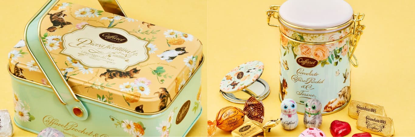 ͤ2023祳졼ȥ饤ʥå