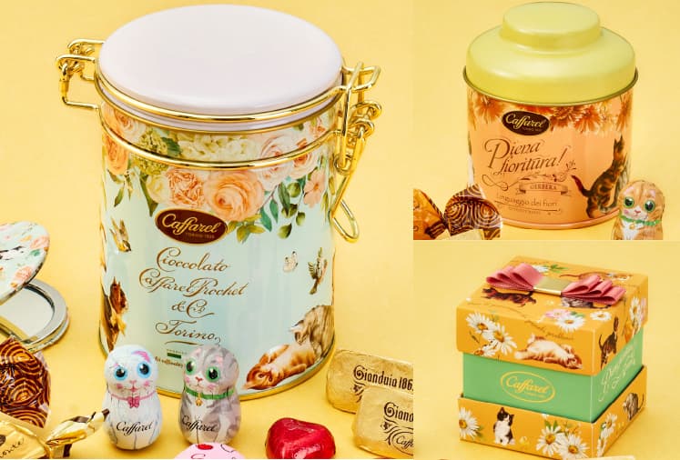 ͤ2023祳졼ȥ饤ʥå