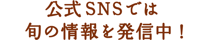 SNSǤϽܤξȯ桪