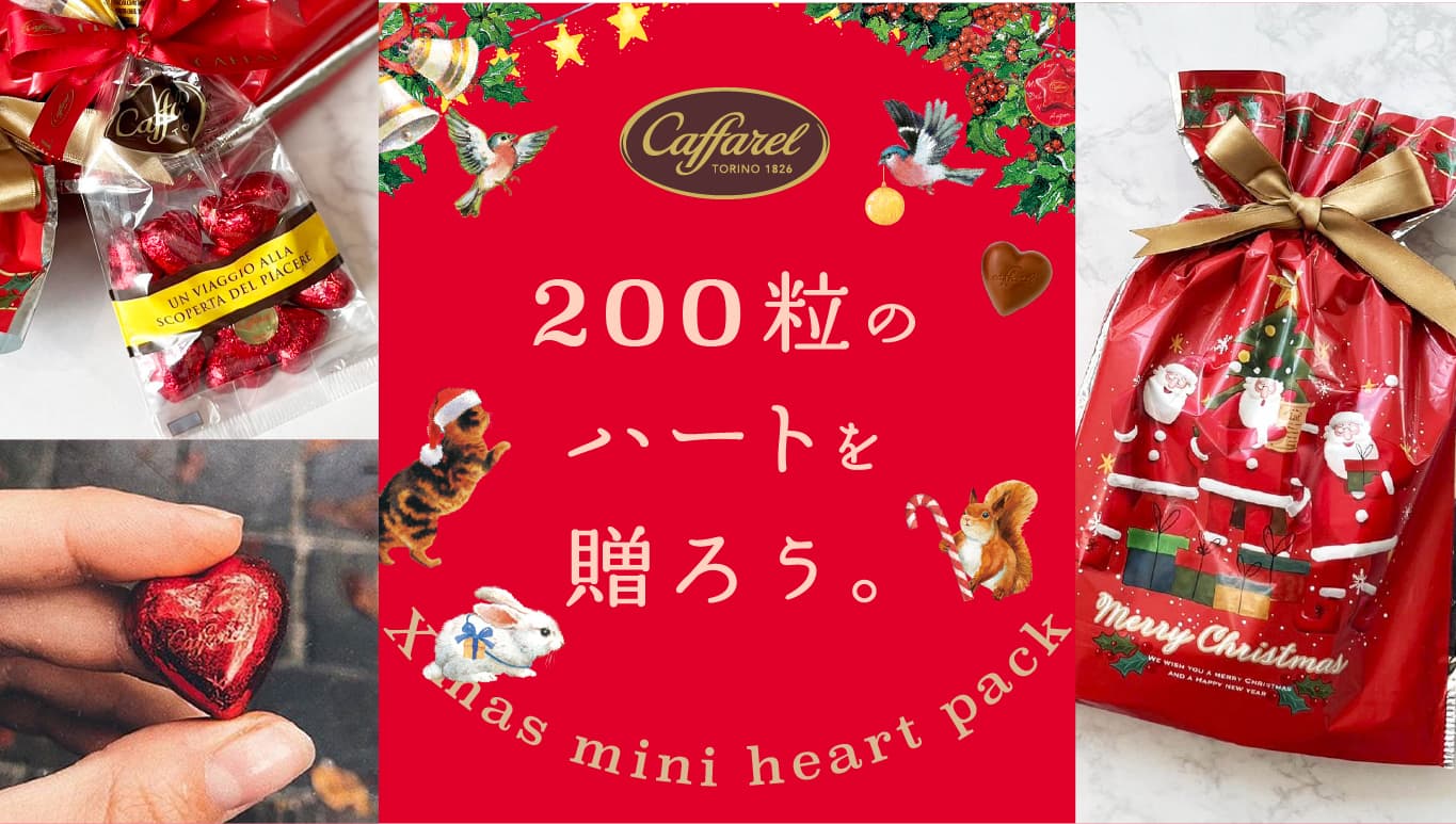カファレルの2023クリスマスチョコレートギフト