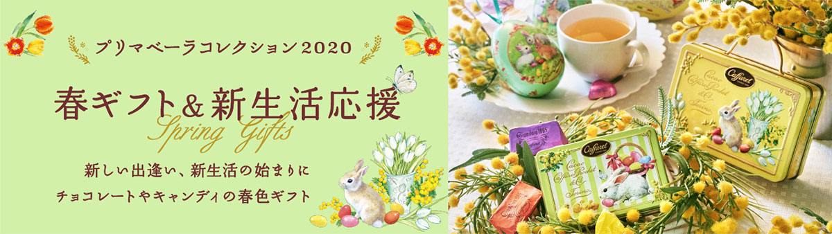 2020�ե��祳�������ǥ����եȥץ�ޥ١���