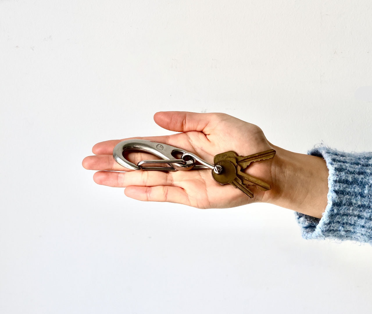 専用　wichardカラビナ&ツイストシャックルセット Wichard ウィチャード カラビナ 