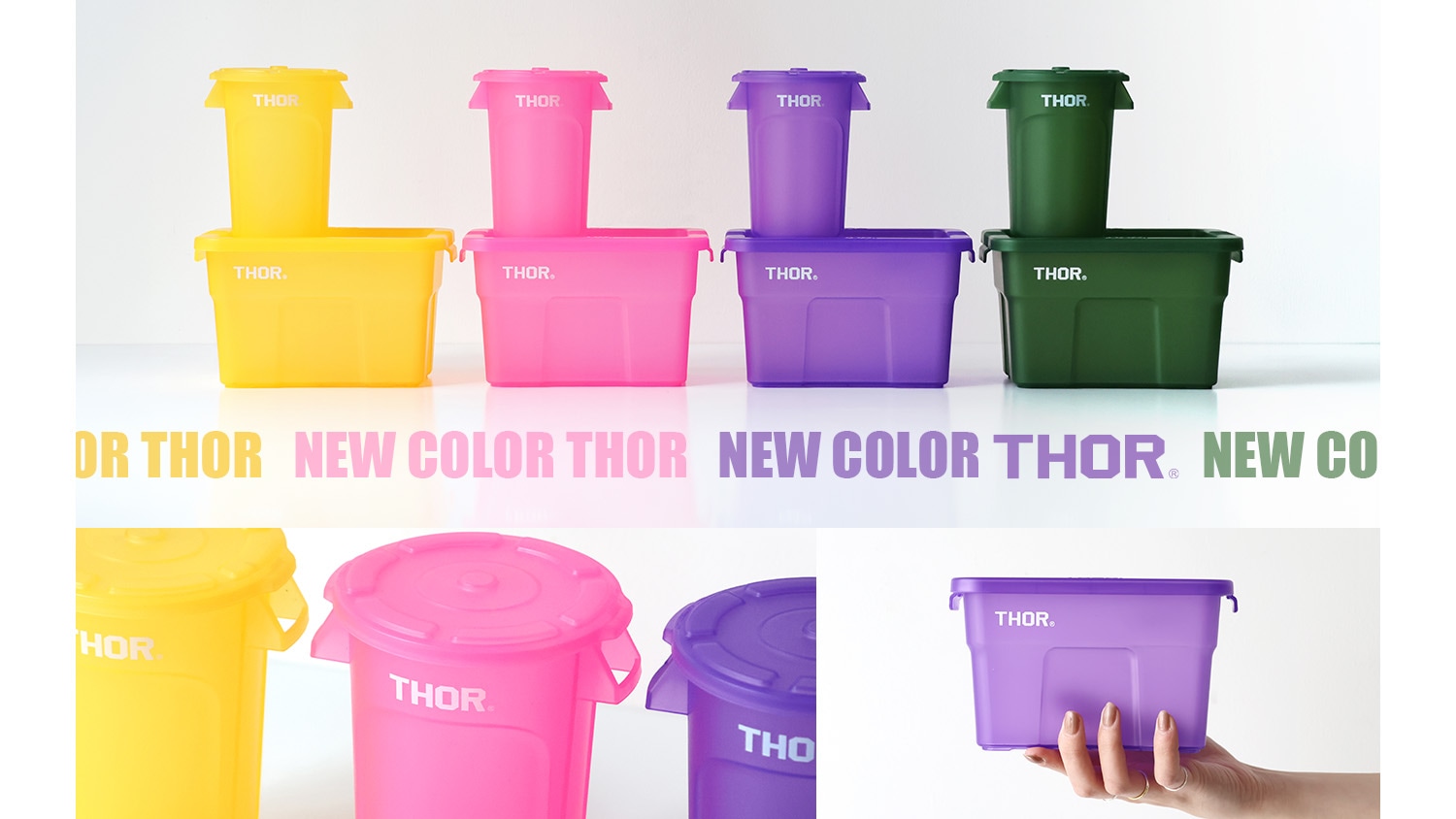 NEW COLOR THOR ポップなカラーが加わりました
