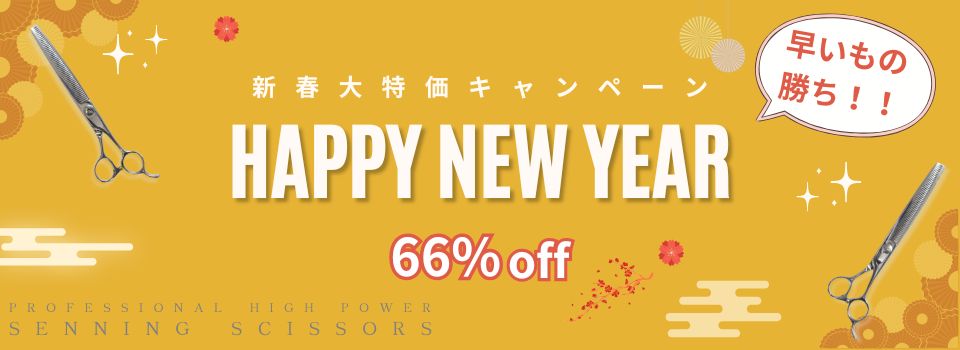 ����ץ륷����