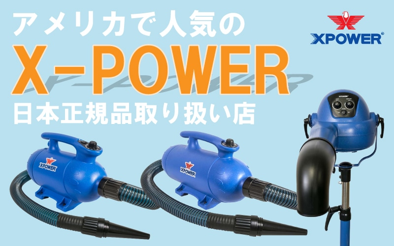 ꥫǿ͵X-POWER