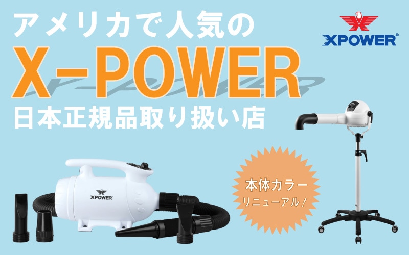ꥫǿ͵X-POWER