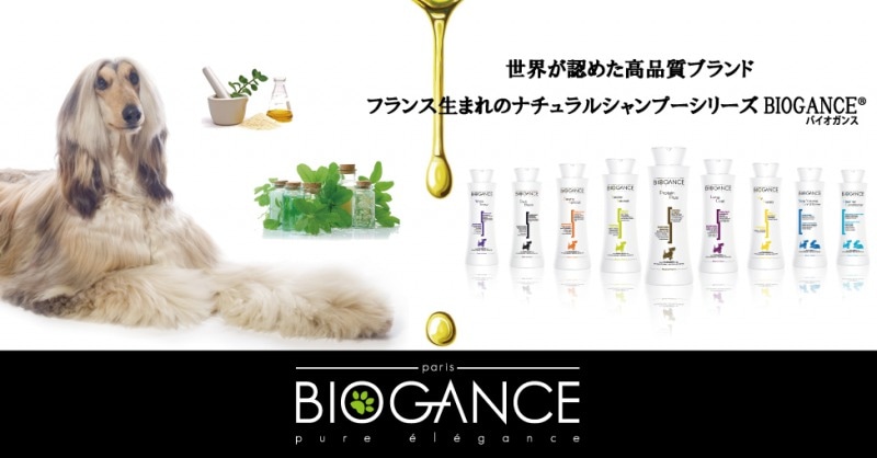 BIOGANCE バイオガンス ホワイトスノーシャンプー250ml 犬用 グリーンハーブの香り ペット用品  トリミング用品-ペット用品のことならDMSコミュニケーション