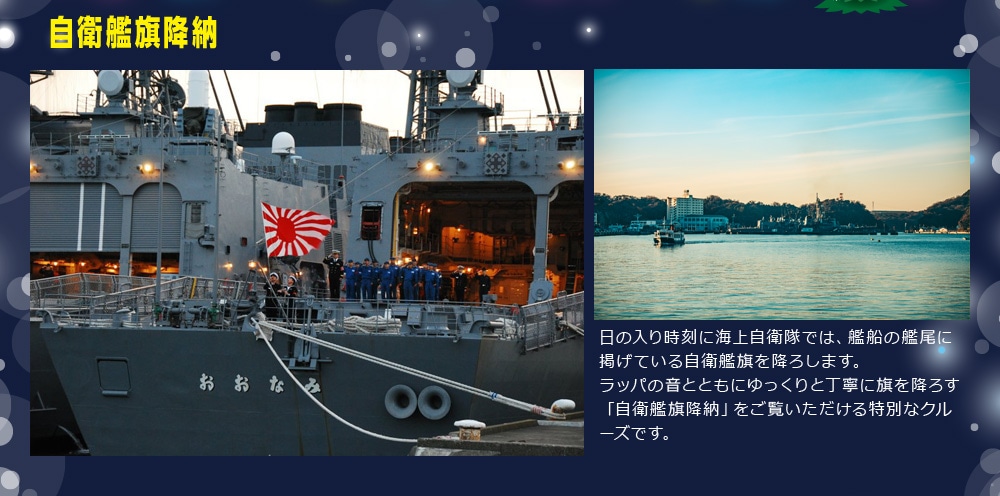 自衛艦旗降納