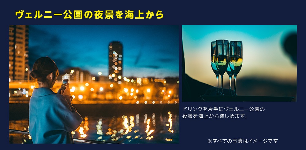 ヴェルニー公園の夜景を海上から