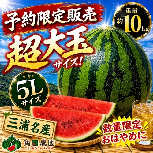 三浦名産 超大玉サイズのすいか(5Lサイズ・約10kg)