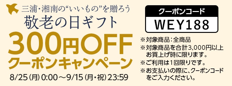 300円オフクーポンキャンペーン