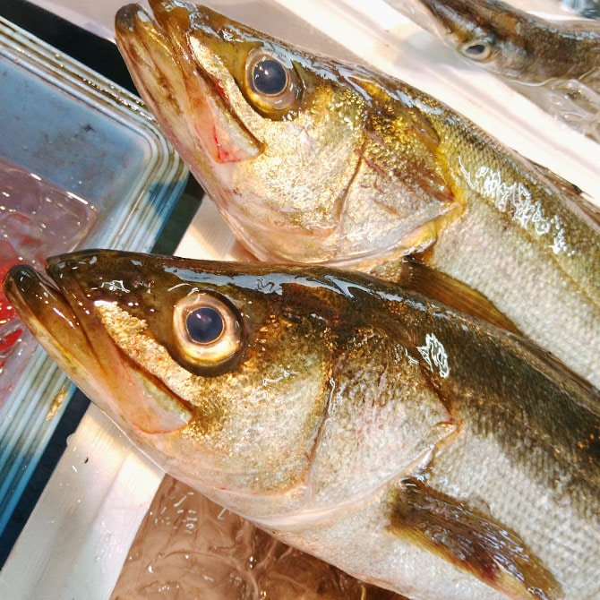 三浦産直旬の鮮魚