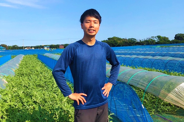 6/下旬まで予約/7月15日頃出荷予定】三浦の超大玉サイズのすいか(約