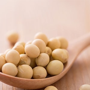 ダイズ種子エキス