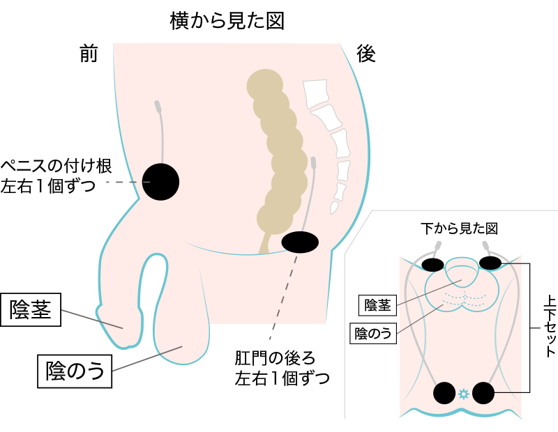 男性用ストロング4パッド（4枚）