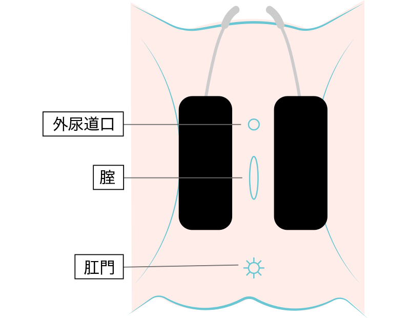 女性用レディースKパッド（縦長2枚）