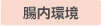 腸内環境