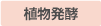植物発酵