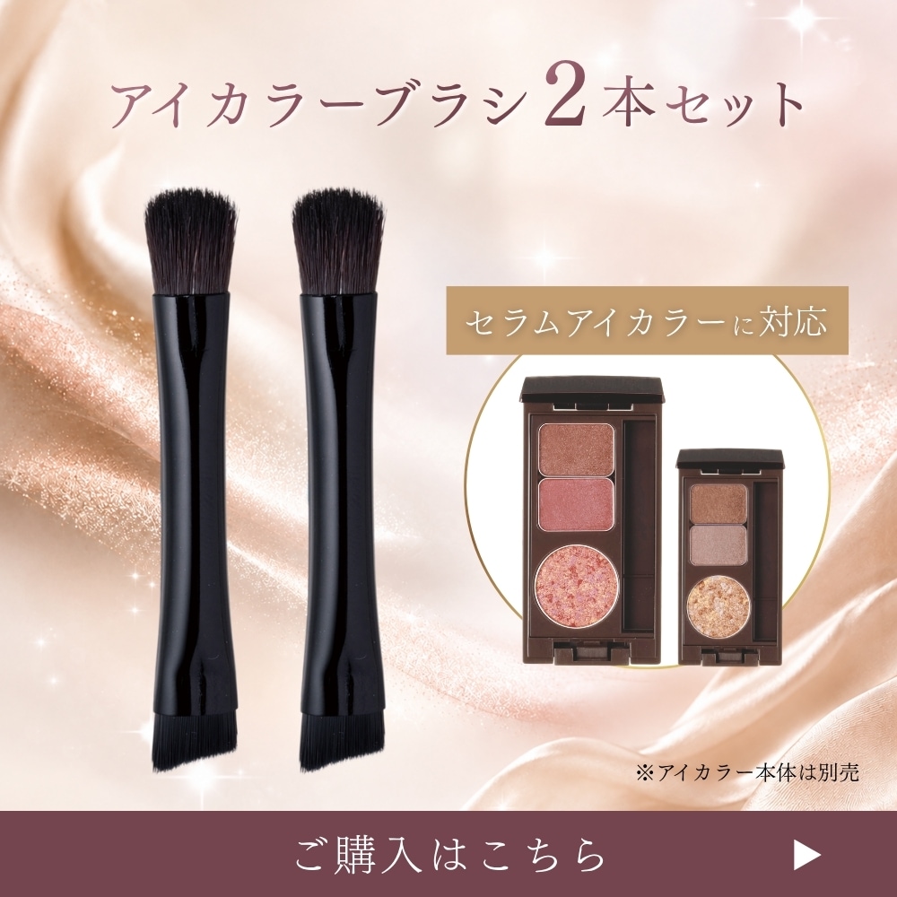 ディアナージュ アイカラーブラシの購入ページへ
