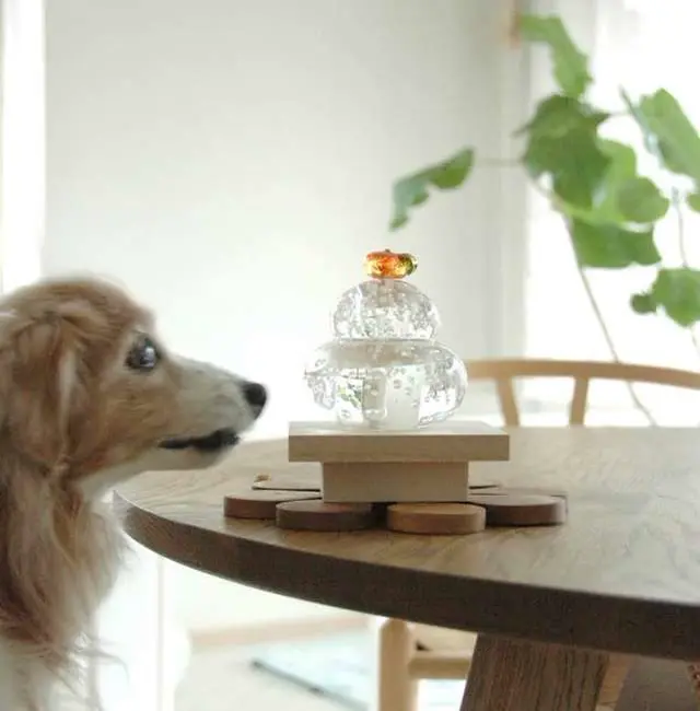 テーブルセッティング