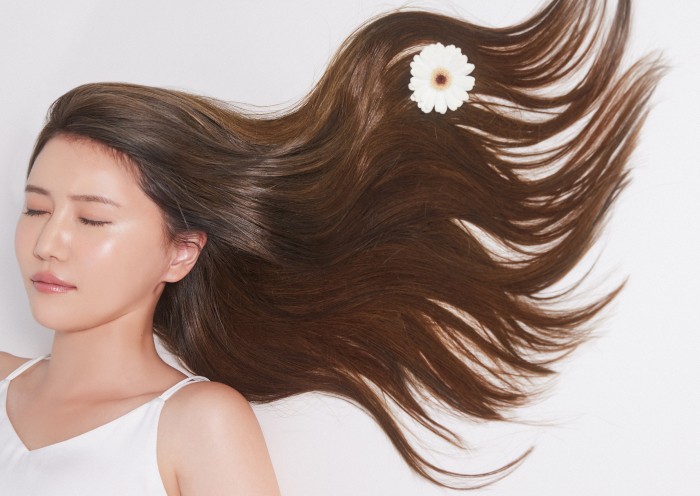 アイスレディドライヤーグローバルスタンド 未使用 アイスレディ ドライヤー グローバル スタンダード 新品未使用